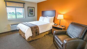 A hotel room with a bed, a chair, a nightstand with a lamp, and a window with a view of greenery.