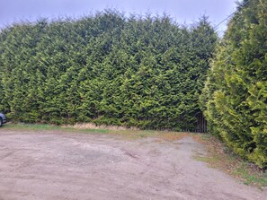 A gravel parking area with a dense hedge in the background.