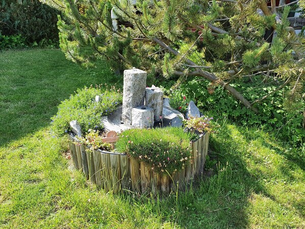 Terrain de l’hébergement 