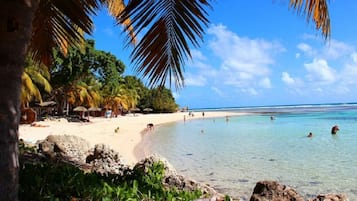 Plage, chaises longues, serviettes de plage