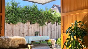 A sunlit patio with a wooden fence, a dining table with a blue tablecloth, a sofa with a fluffy throw, and a large potted plant.