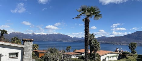 A residential area with a view of a lake and mountains.