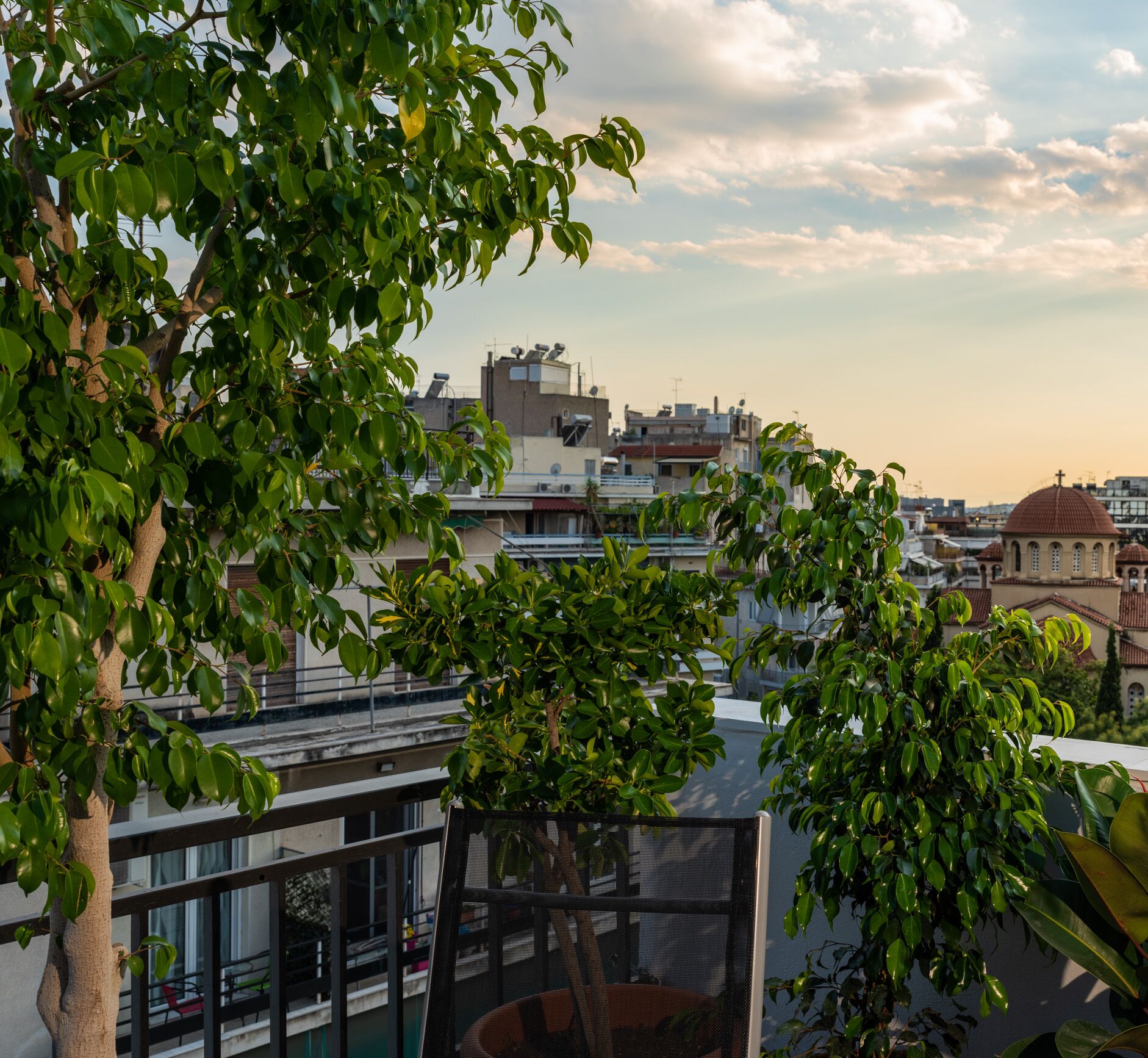 A rooftop garden with lush green trees and a view of the cityscape in the background.