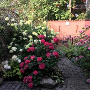 Terrace/patio - Holiday apartment at the Georgenkirche Object-ID 121260 (Waren (Müritz))