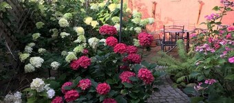 Holiday apartment at the Georgenkirche Object-ID 121260