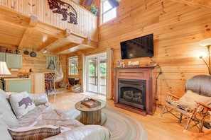 TV, fireplace, DVD player, books
