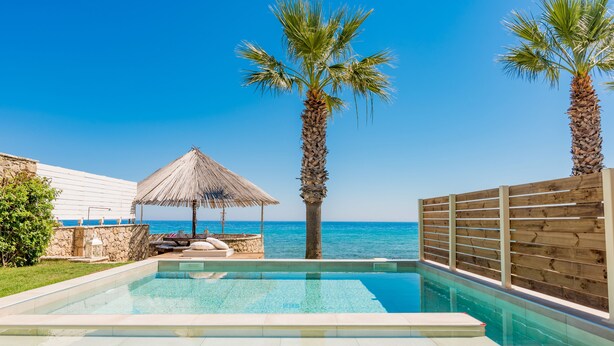 A swimming pool with a view of the sea, palm trees, and a thatched umbrella.