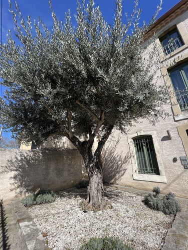 Fabulous, fully-equipped, air-conditioned rental at the foot of Carcassonne.