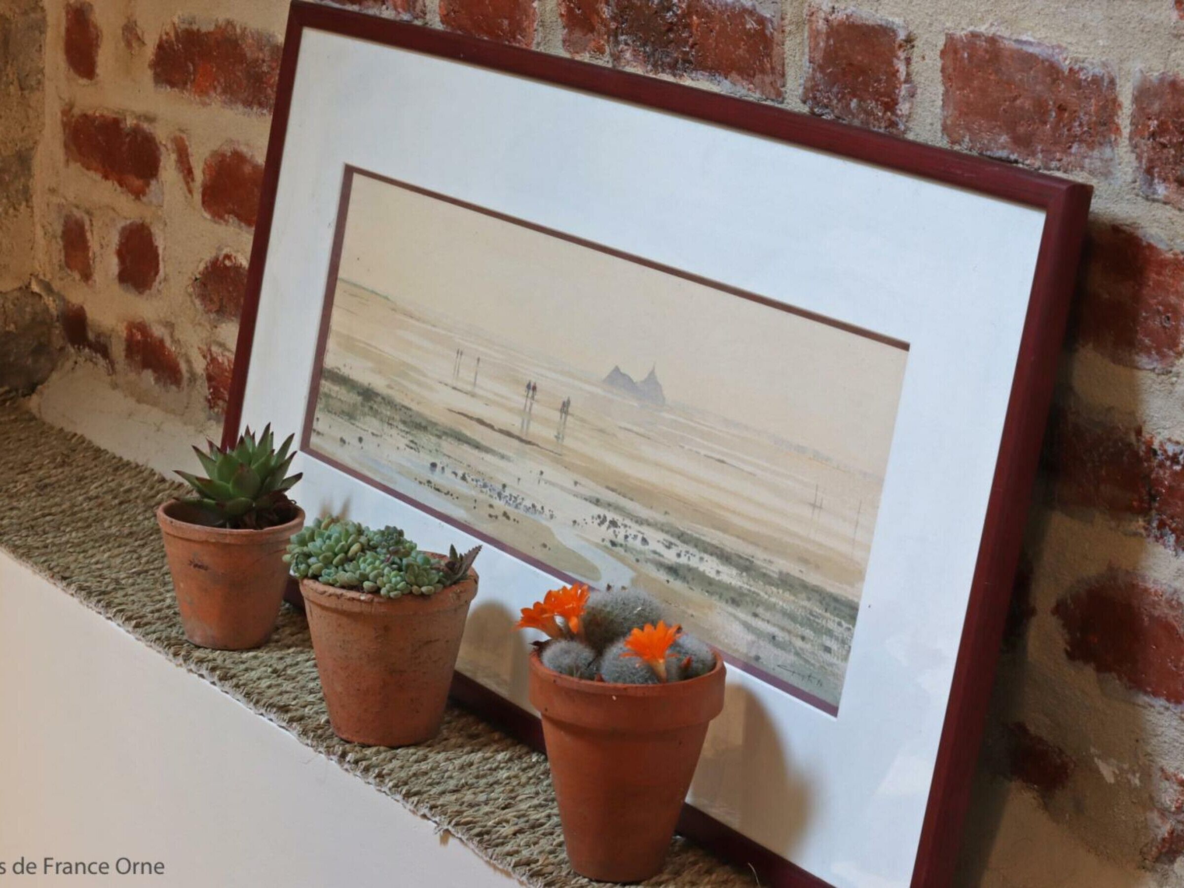 Une œuvre d’art encadrée est accrochée à un mur, devant lequel se trouvent trois plantes en pot.