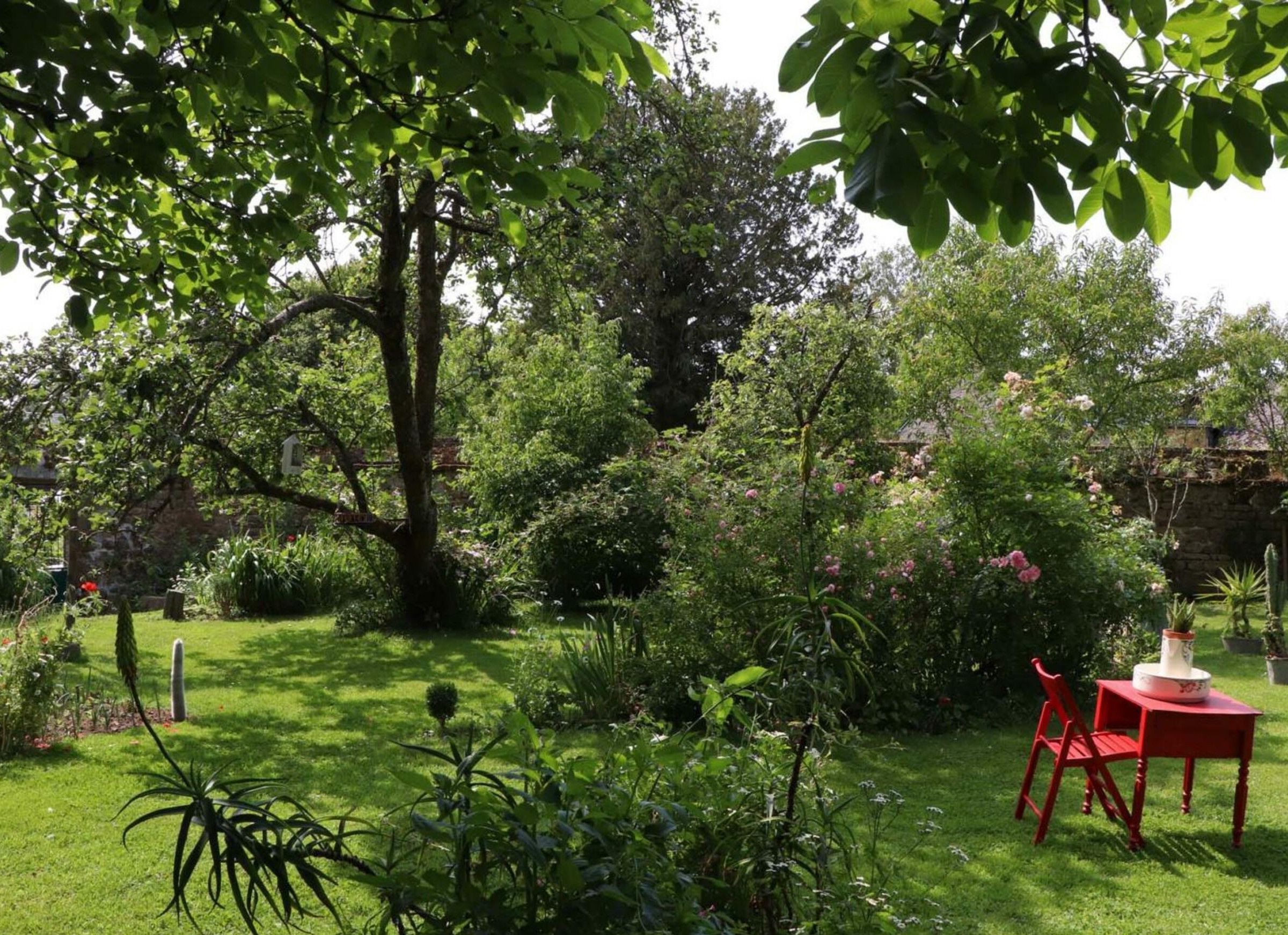 A lush garden with a variety of plants and a red table and chair set.
