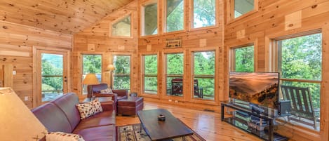 Fernseher, Kamin, Videospiele, DVD-Player