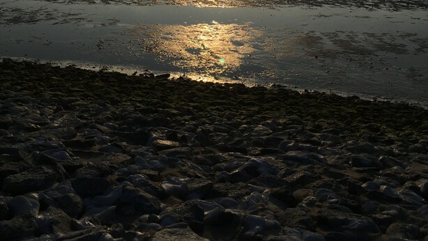 Ein Strand mit ruhiger See, blauem Himmel und der Sonne, die sich im Wasser spiegelt.