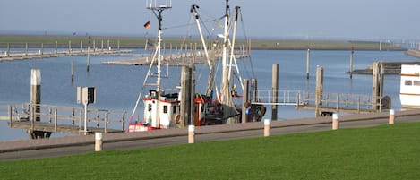 Port de plaisance