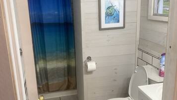 Shower, towels, toilet paper