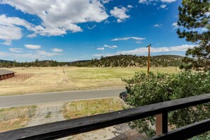 Property grounds - Amazing Views! 3,000 sq ft cabin!  Hot Tub, & Game Room! (Big Bear City)