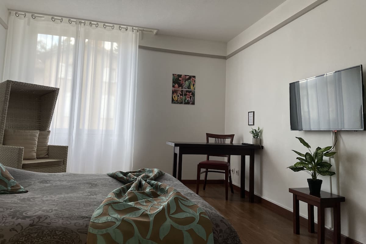 A bedroom with a bed, a desk, a chair, a television, and a potted plant.