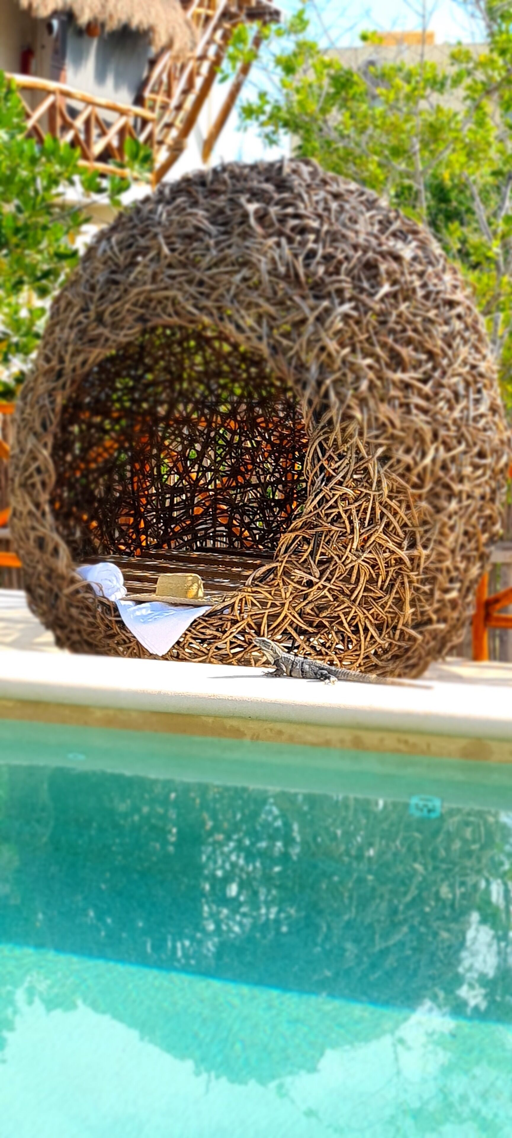 Foto - Sanyama Holbox