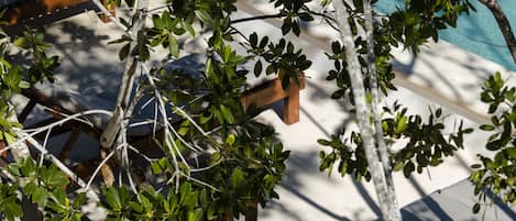Vista desde la habitación