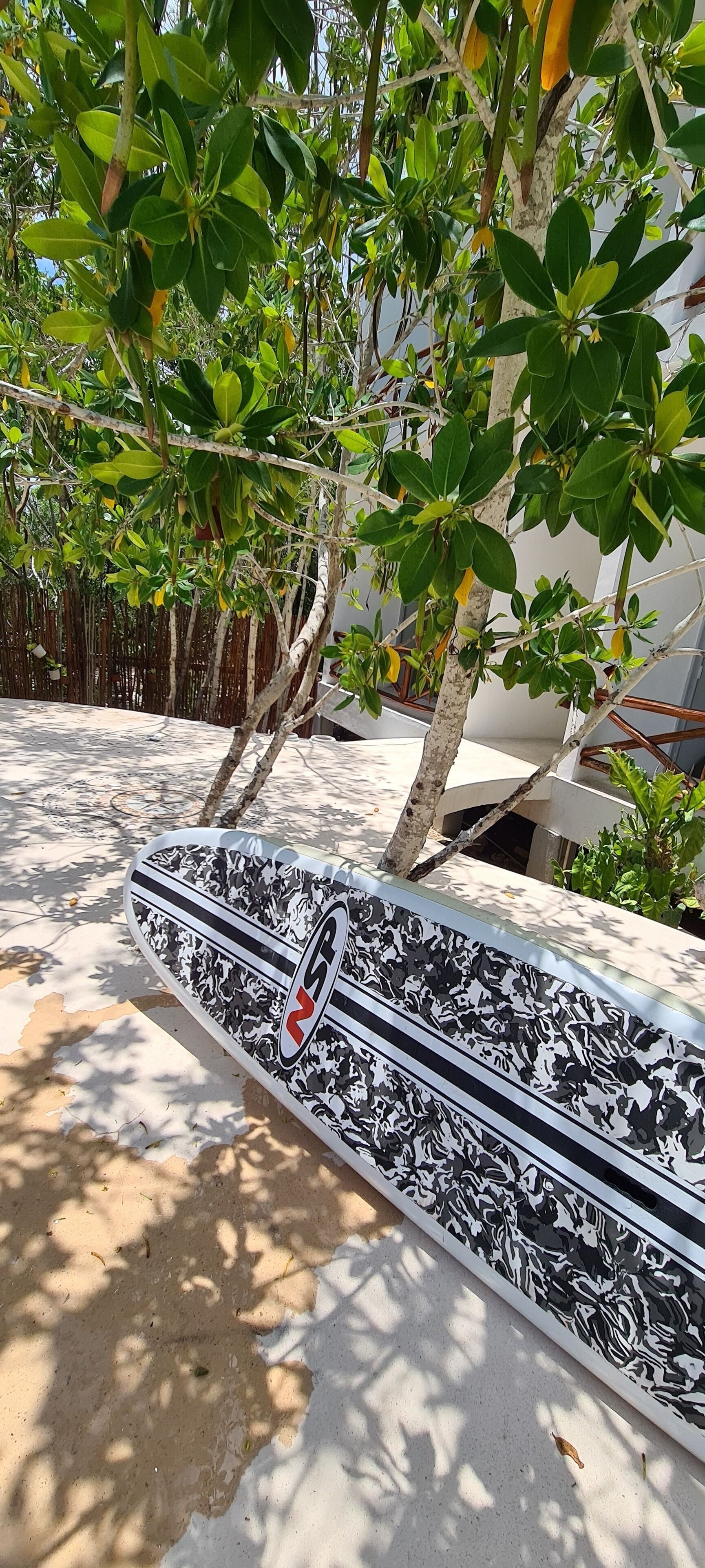 Foto - Sanyama Holbox