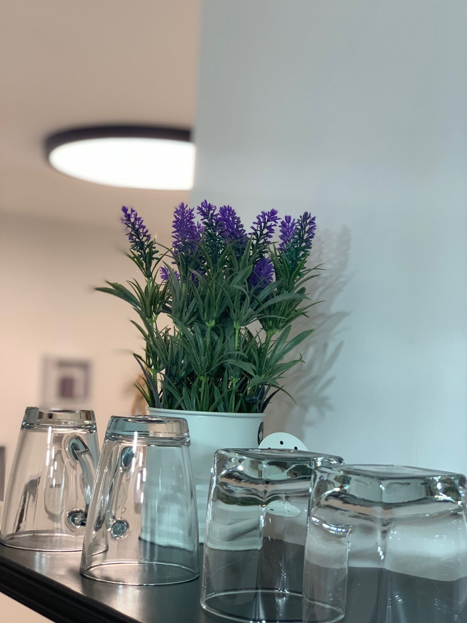 Una estantería con tazas de vidrio transparente y una maceta con planta de lavanda.