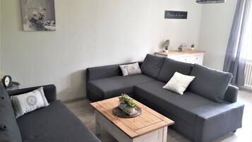 Télévision, lecteur de DVD, livres