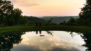 Un paysage paisible avec un étang aux eaux calmes, des arbres et une vue lointaine sur des collines.