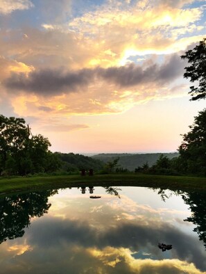 Pool - 1800’s restored log cabin on 26 private rolling wooded acres with sunset views (Madison)
