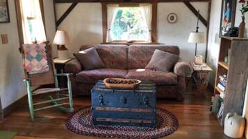 Smart TV, fireplace, DVD player, books