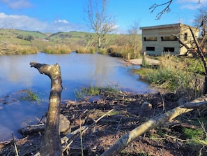 Property grounds - Cozy Cabin Retreat on top of the Shropshire Hills (Craven Arms)