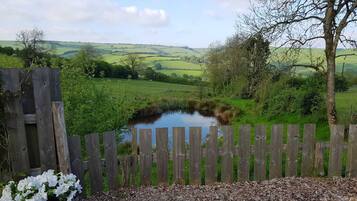 Cabin | Property grounds