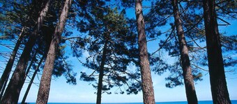 Campo Vecchio Sole & Piscine