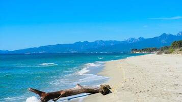 Une plage avec un arbre tombé sur le sable, une eau d’un bleu limpide et des montagnes en arrière-plan.