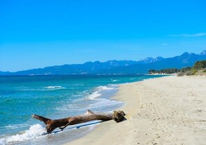 A beach with a fallen tree on the sand, clear blue water, and mountains in the background.