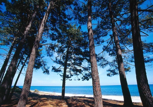 Beach nearby