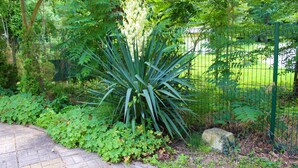 Jardines del alojamiento