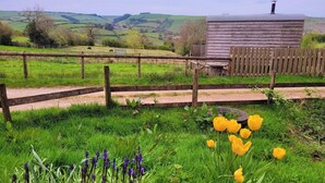 A rural landscape with a wooden fence, a small wooden structure, and a grassy field. - Cabin Retreat With Beavers on Shropshire Hills (Craven Arms)