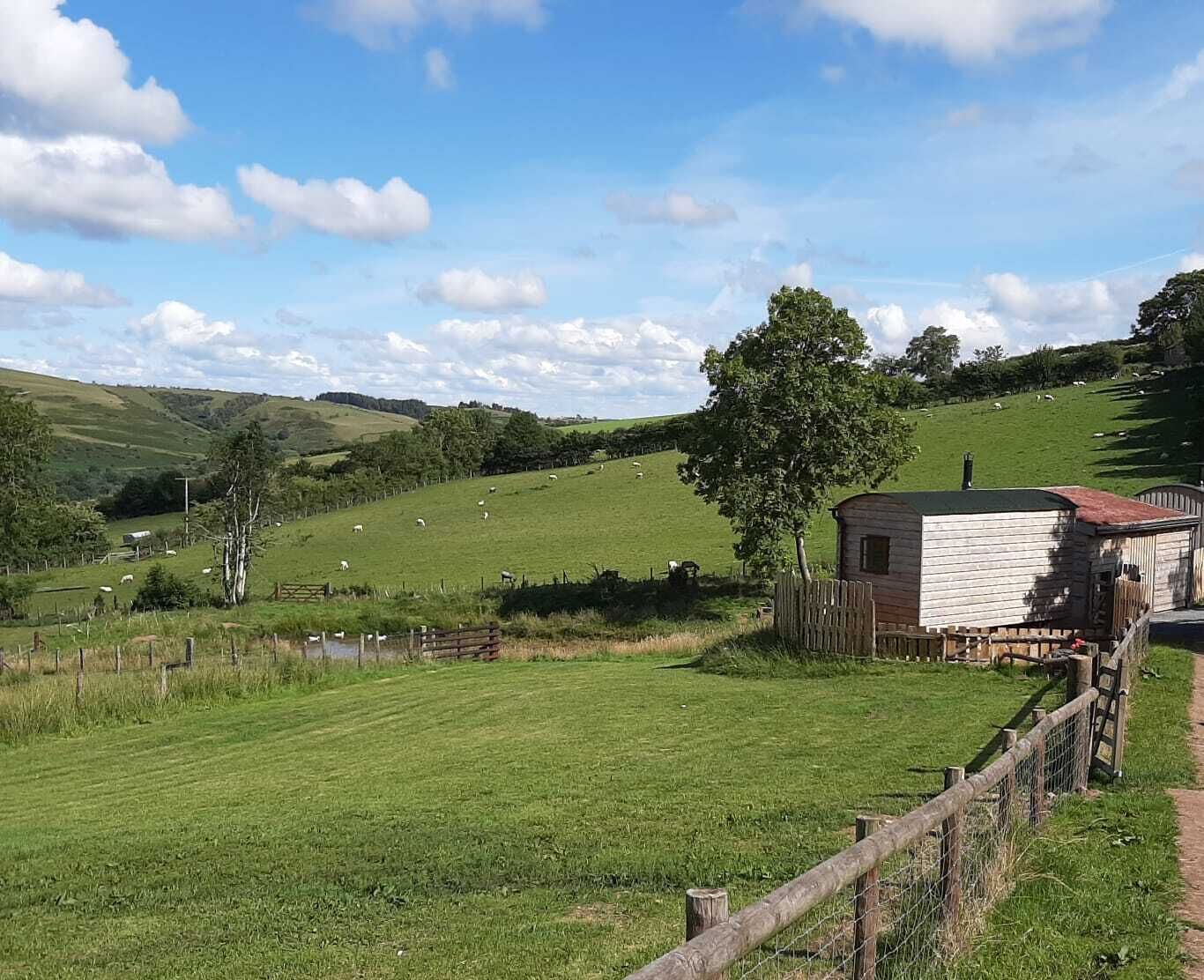 Cottage | Property grounds