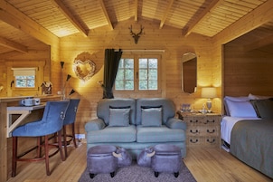 Cabin | Living room | Fireplace