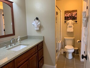 Hair dryer, towels, soap, shampoo - Gorgeous Guest Suite. Walk to Old Town & CSU! (Fort Collins)