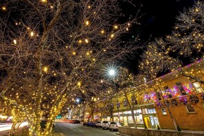 Apartment, 1 Queen Bed (633 Mathews St., US) | Exterior - Gorgeous Guest Suite. Walk to Old Town & CSU! (Fort Collins)