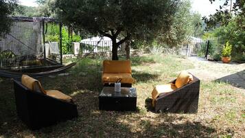 Un espace extérieur aménagé avec des meubles en osier et une petite table, entouré de verdure et d’un arbre.