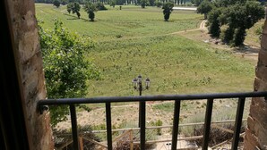 Un vignoble avec un mur de pierre et une rambarde en métal au premier plan.