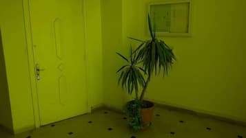 Apartment, 3 Bedrooms, Accessible, Smoking | Interior