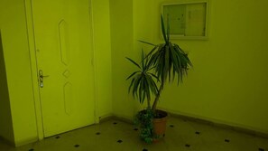 Apartment, 3 Bedrooms, Accessible, Smoking | Interior - Rent Apartment In Tunis (La Soukra)