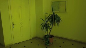 Apartment, 3 Bedrooms, Accessible, Smoking | Interior