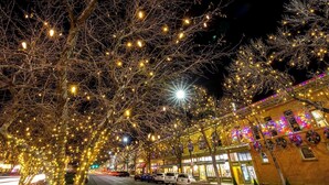 Een straat met bomen, versierd met lichtjes, een gebouw met kleurrijke verlichting en geparkeerde auto's.