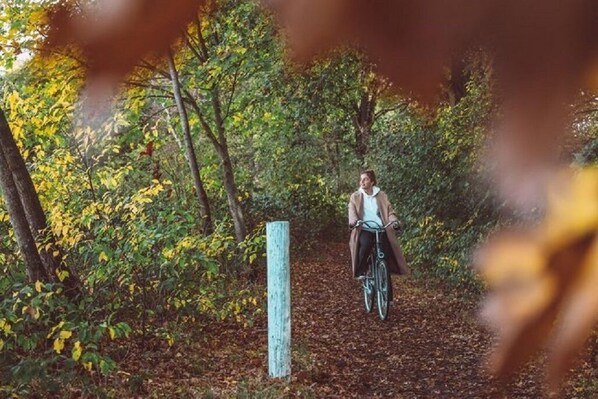 A person riding a bicycle on a leaf-covered path surrounded by trees.