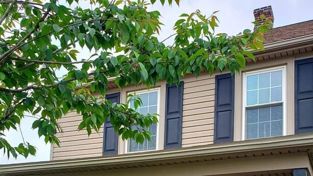 A two-story house with a porch, a black door, and a small garden area with flowers. - Serenity in lancaster county (Paradise)