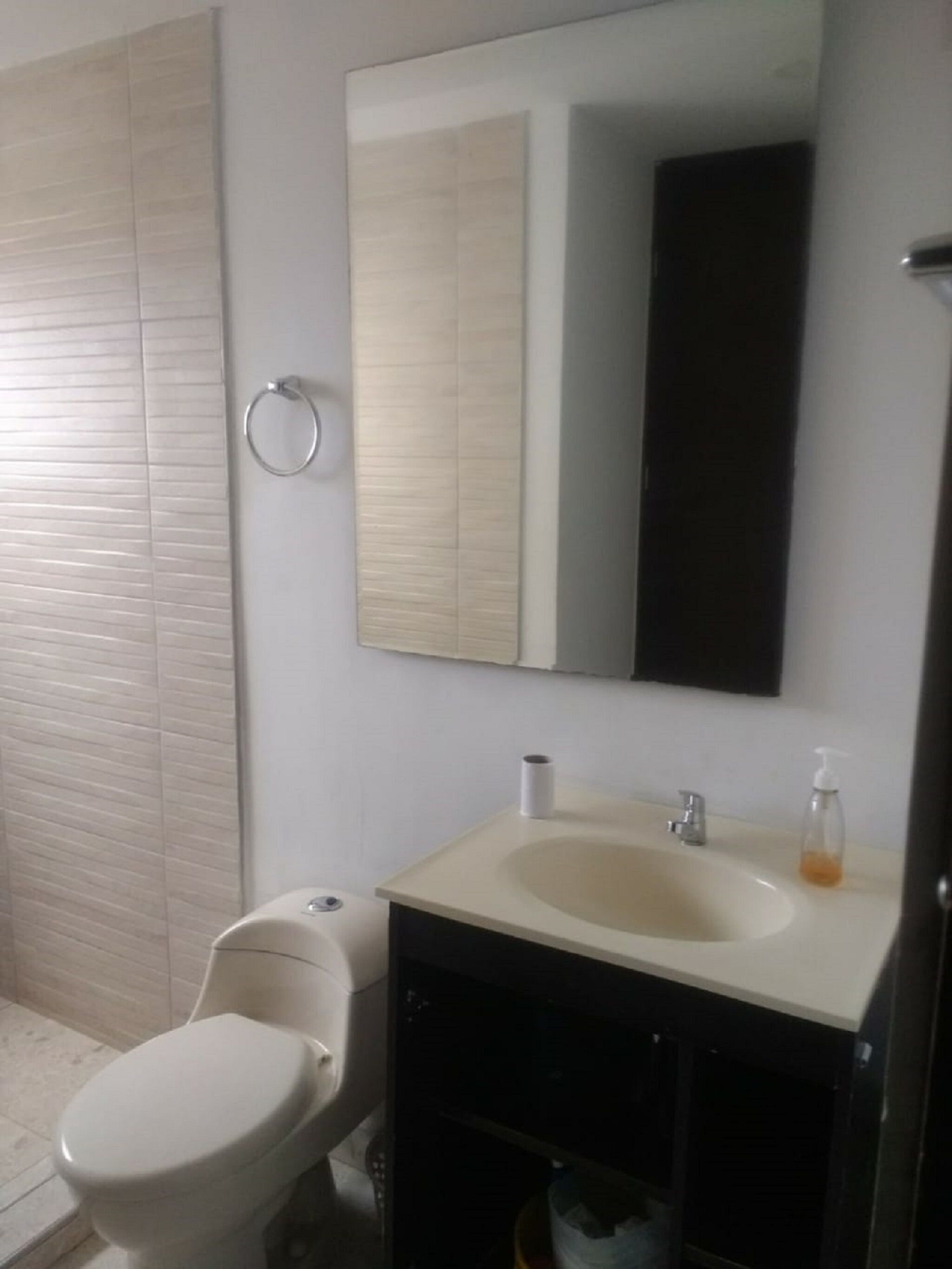 A bathroom with a toilet, sink, and mirror.