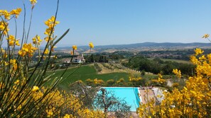 Exterior - Holidays in Apartment With Swimming Pool (Asciano)